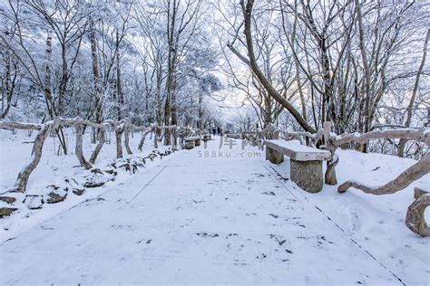 石凳雪和树木摄影图高清摄影大图-千库网