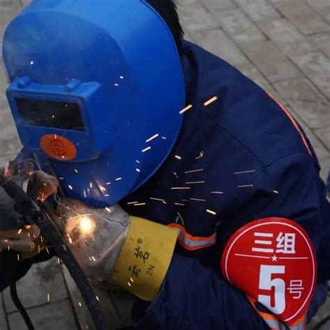 pvc电焊网_pvc电焊网_产品展示_安平县合巨金属制品有限公司
