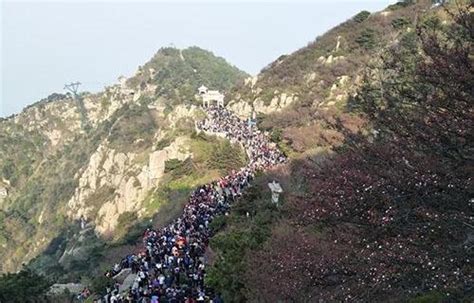 泰山日观峰，网友拍摄春节前最后一次日出_手机凤凰网