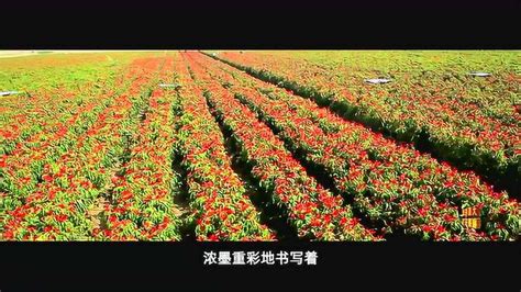 柘城县：为农机跨区作业提供有温度的服务凤凰网河南_凤凰网