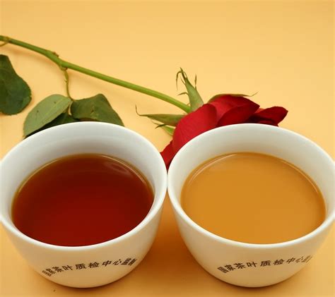 奶茶原料 500克散装 巧克力红茶 可可红茶-阿里巴巴