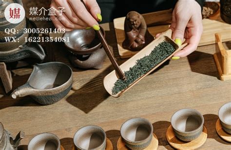 茶叶怎么泡才是正确好喝的 茶叶要怎么泡上中下投法教程步骤图 中国咖啡网