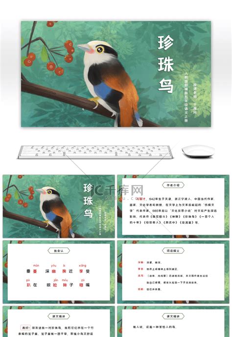 语文人教部编版15 搭船的鸟教学设计-教习网|教案下载