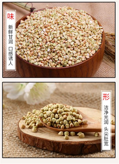 金荞麦图片