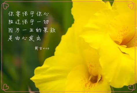 《圣经》壁纸图片