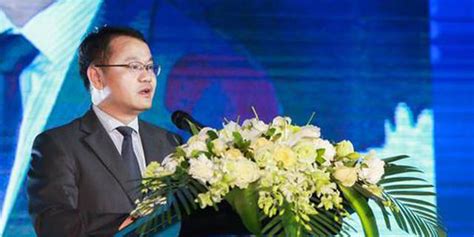 三亚副市长：围绕自贸区港建设的先导工作已全面铺开_手机新浪网