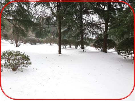 厚厚的白雪覆盖在小山坡和树林上图片_厚厚的白雪覆盖在小山坡和树林上高清图片_厚厚的白雪覆盖在小山坡和树林上图片下载