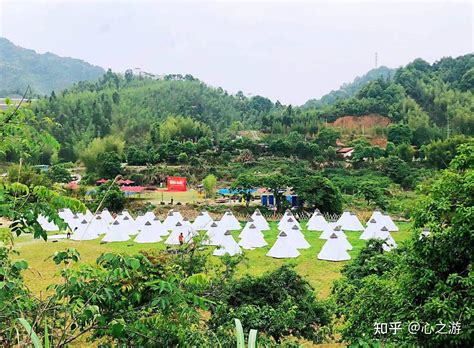 广州郊外露营好去处精选推荐，从化良口镇大山深处两个特色营地，一个山头小营地，一个山谷大营地 - 知乎