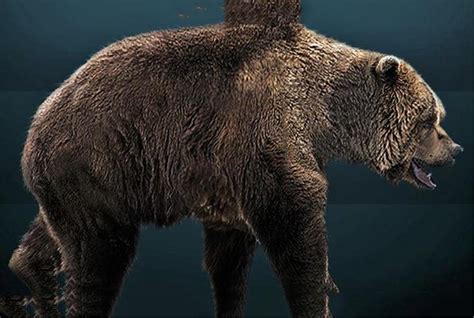世界上最大的棕熊：短面熊（史前时代的顶级掠食者）-小狼观天下