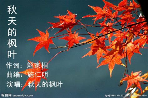 秋天的古诗20首,描写秋天的诗句古诗_大山谷图库