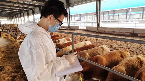 中国农业大学新闻网 综合新闻 河南固始教授工作站“牛精英”团队助力地方肉牛产业发展