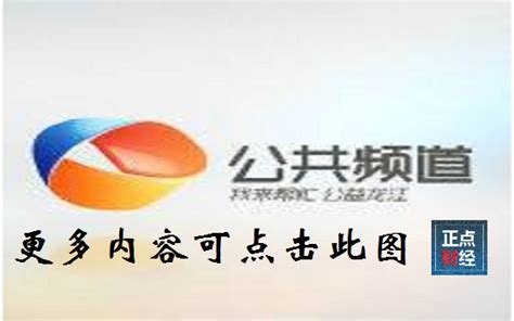 黑龙江新闻法制频道logo_怪怪的设计师-站酷ZCOOL