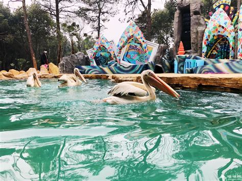 2020武汉动物园开放时间 门票优惠政策 - 旅游资讯 - 旅游攻略