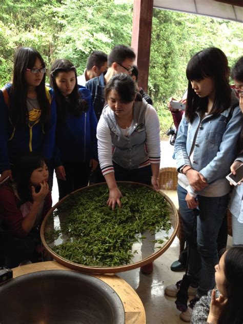 梧州高中学生探寻六堡茶韵！这是梧州日报社组织的首个面向中学生群体的研学活动|梧州|茶叶|六堡茶_新浪新闻
