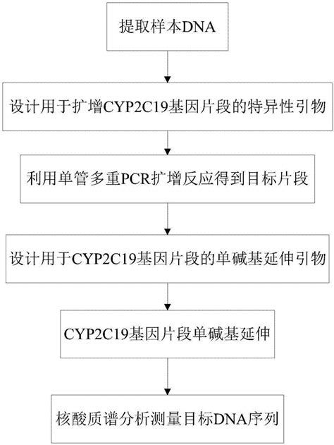 人类CYP2C19基因多态性检测试剂盒-北京晋祺生物科技有限公司