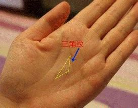 手掌中有三角纹和四角纹，意味着什么__凤凰网