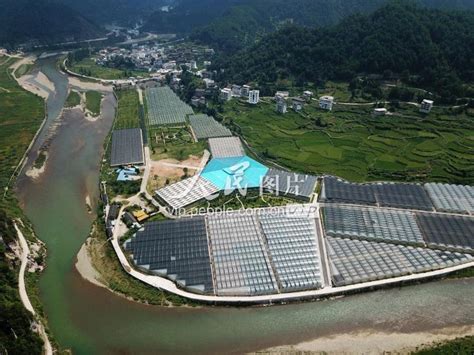 贵州台江：苗寨里建起现代农业园-人民图片网