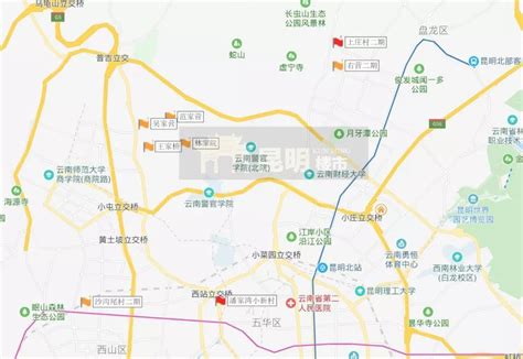 14个策划项目，青浦区举行“城中村”项目推介大会_改造_合作_发展