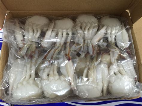 冷冻的螃蟹高清图片下载-正版图片307570518-摄图网
