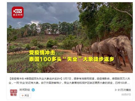 大象视频APP安卓版下载-大象视频app在线观看免费下载-吾爱下载