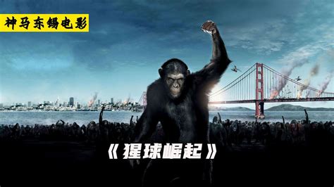 猩猩大战霸王龙，英雄救美_腾讯视频