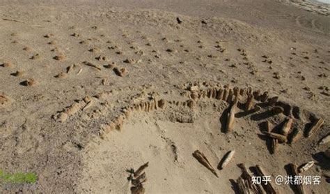 陕西西安少陵原发现迄今为止规模最大的十六国时期高等级墓葬