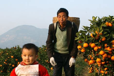 湖南农村新出一种奇怪水果，成熟后会炸开，小伙靠它年赚12万！_凤凰网视频_凤凰网