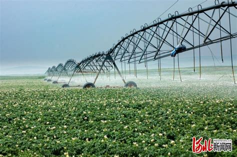 河北省通报2020年度地下水超采综合治理成效考核结果