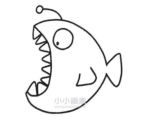 简单灯笼鱼简笔画画法图片步骤🎬小小画家
