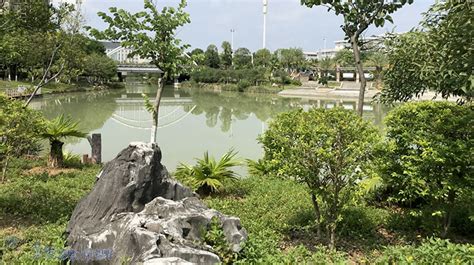 广西边境(一) 来宾市政府、翠屏山公园 | 草根影響力新視野