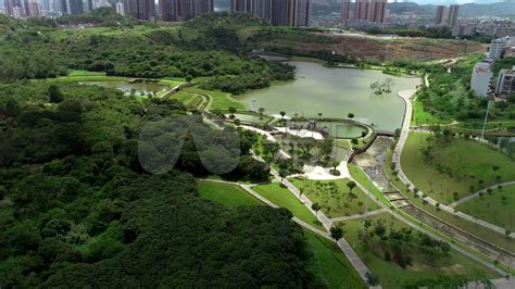 深圳市规划和自然资源局坪山管理局