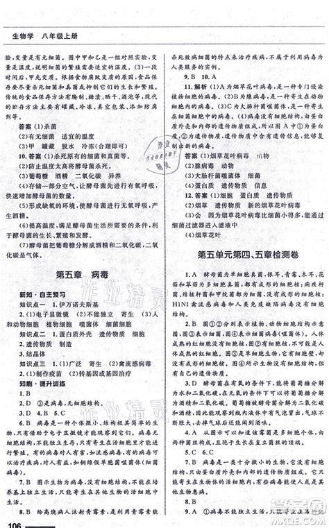 2021年初中语文中考一轮复习--专项提分卷(五)名著阅读（原卷+答案卷）-21世纪教育网