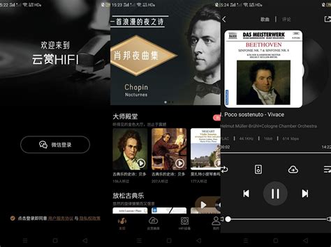 无损音乐app下载-无损音乐最新版v2.2 安卓版 - 极光下载站