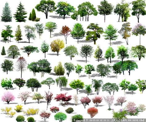 四个季节不同颜色的树木图片-四个季节不同颜色的矢量树木素材-高清图片-摄影照片-寻图免费打包下载