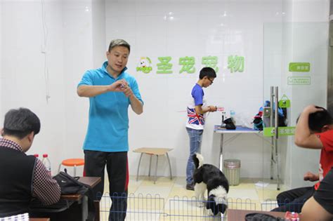 证书考试_北京宠乐会宠物学校