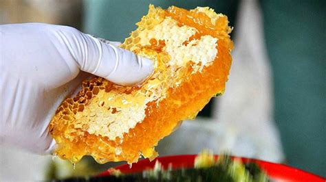 简约健康养生蜂蜜宣传海报设计PSD图片_海报_编号7441117_红动中国