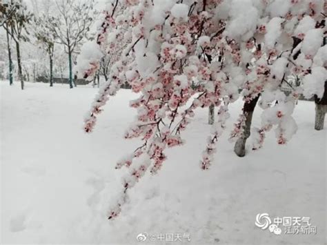 苏州下雪了！2018年的第一场雪已刷爆朋友圈！