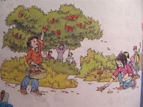 儿童绘本故事推荐《丰收的秋天》_版权