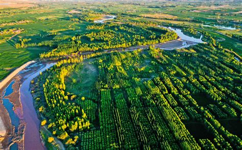 黑河全域创建农业绿色发展示范区