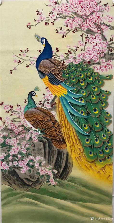 国画孔雀大全图片
