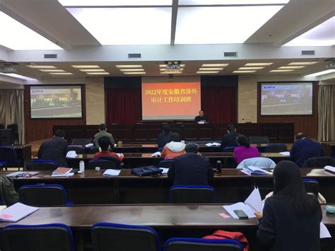 滁州市审计局在省涉外审计业务培训班作经验交流发言_滁州市审计局