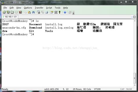SecureCRT显示乱码的解决办法 - qiao1234 - 博客园