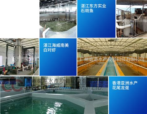 佛山市大斑水产科技有限公司——良心品质，坚持承诺_World Seafood Shanghai Exhibition (SIFSE) 2023