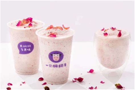 奶茶加盟10大品牌排行榜：沪上阿姨上榜，它主打港式奶茶_排行榜123网
