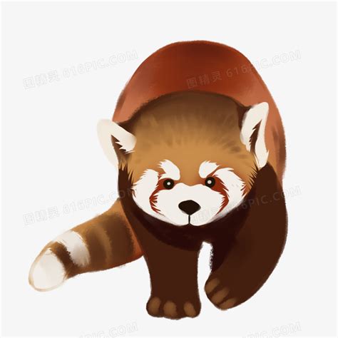 小熊猫卡通图片