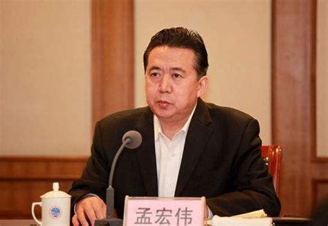 徐大彤已任公安部副部长，凌志峰已任公安部政治部主任
