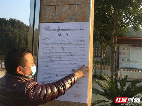 记者带您看世园会|探访北京世园会最“打卡”的地方_张家界_湖南频道_红网