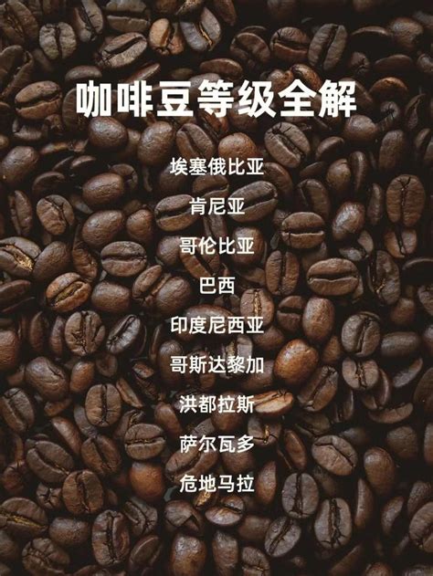 蓝山咖啡豆哪个牌子好？牙买加蓝山咖啡有什么风味？ 中国咖啡网