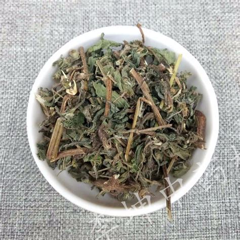 穿心莲图片_植物根茎的穿心莲图片大全 - 花卉网