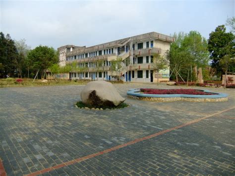 松江新建11所学校 其中3所将于今年9月开学亮相 - 周到上海